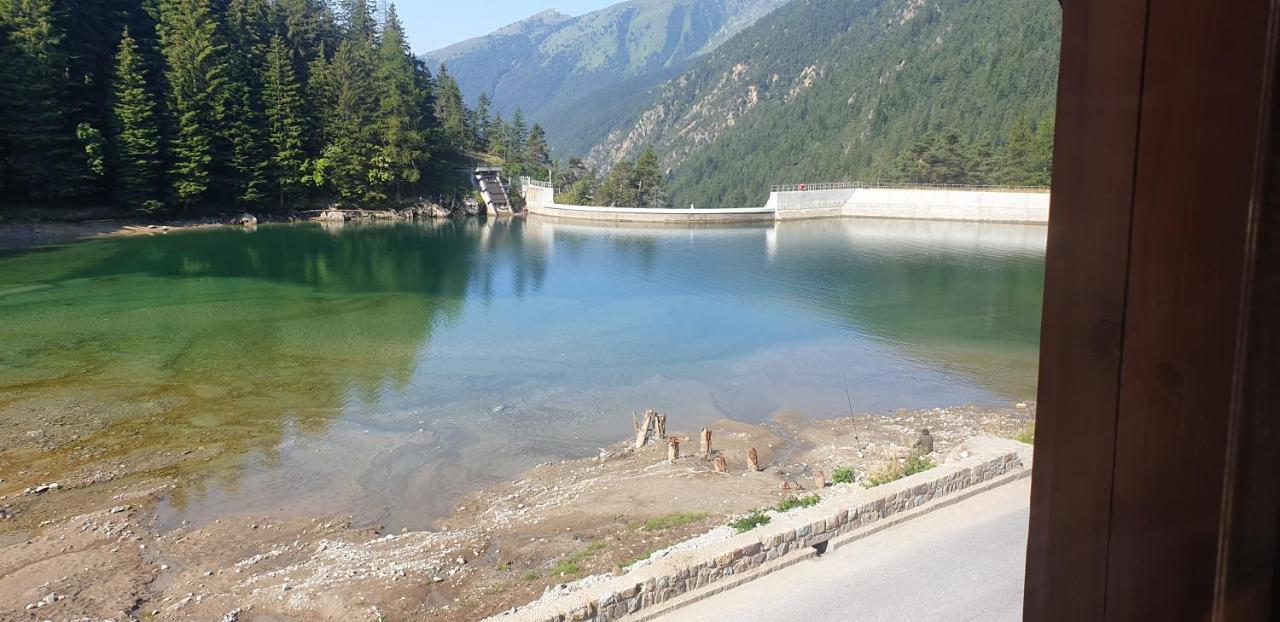 Grand Chalet Du Boreon Bed & Breakfast Saint-Martin-Vesubie Bagian luar foto