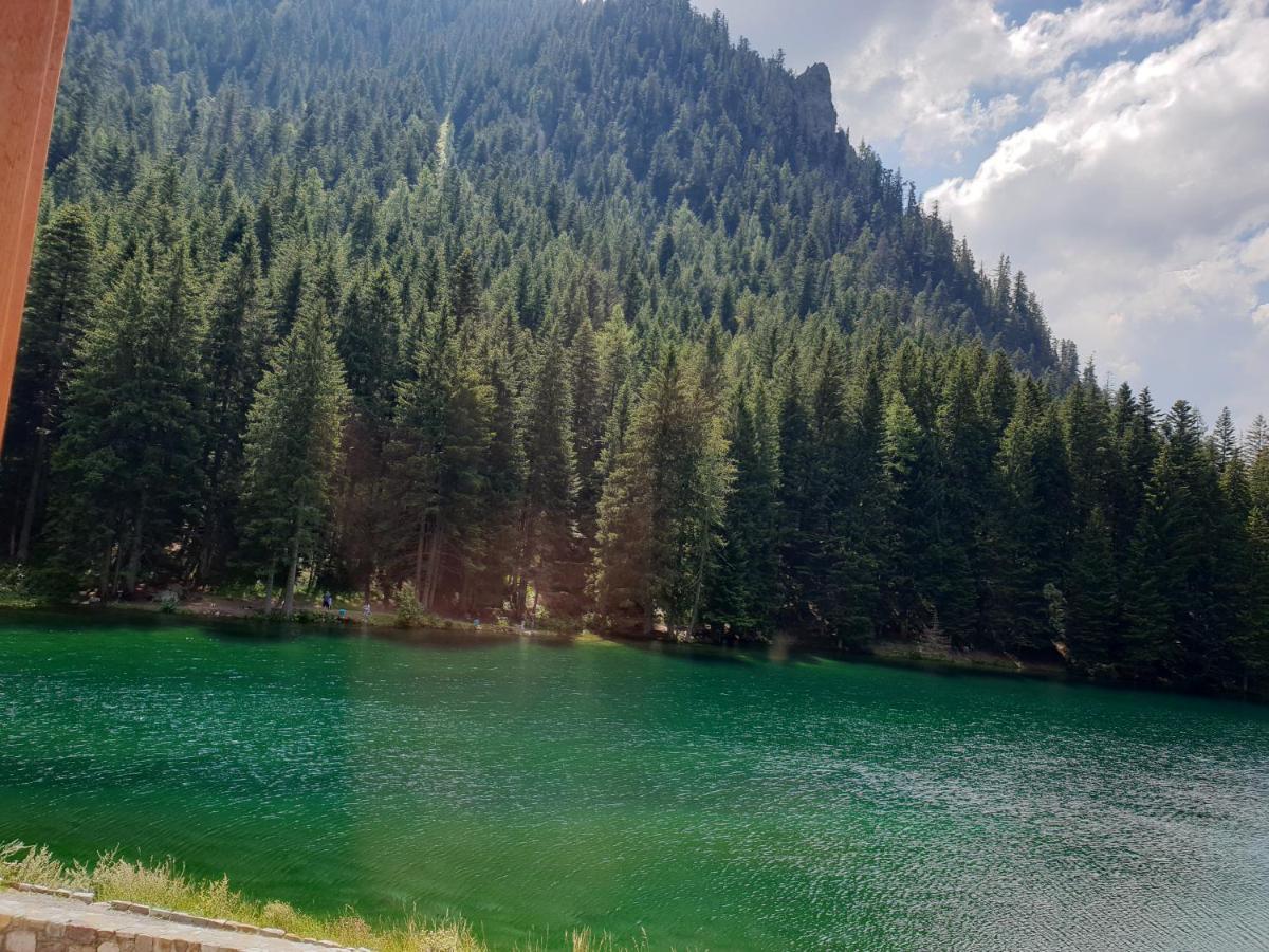 Grand Chalet Du Boreon Bed & Breakfast Saint-Martin-Vesubie Bagian luar foto